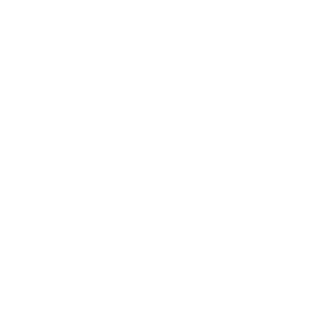 logo age of glory blanc pitshop